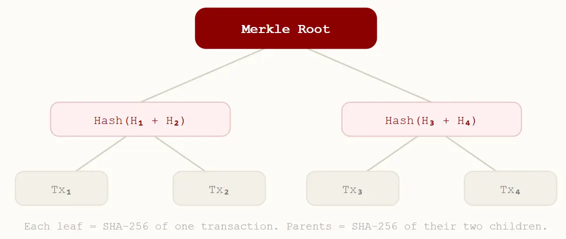 Merkle Tree
